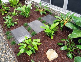 New Home Patio Garden