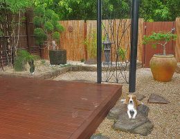 Cairns Dog Friendly Garden Landscaping