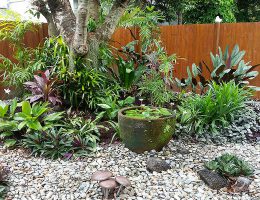 Gardening Services Cairns