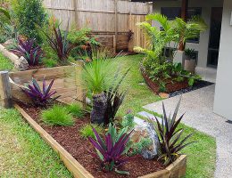 Cairns Landscaping Services for Builders